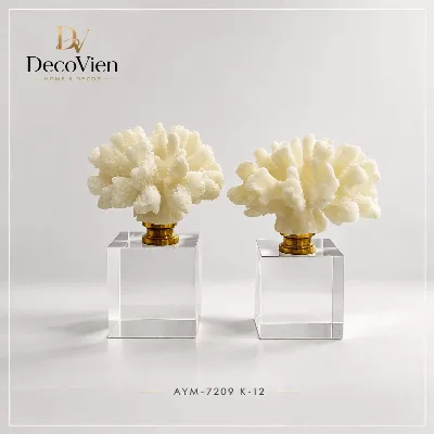 2li dekor deniz mercanı