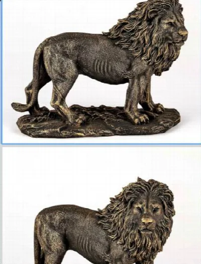 Küçük aslan no:1