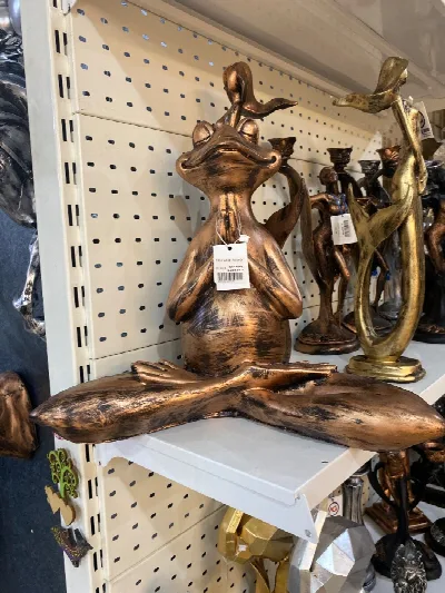 Yoga yapan kurbağa