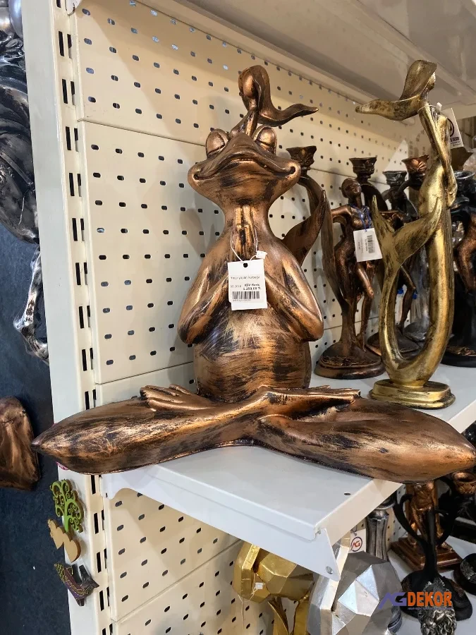 Yoga yapan kurbağa