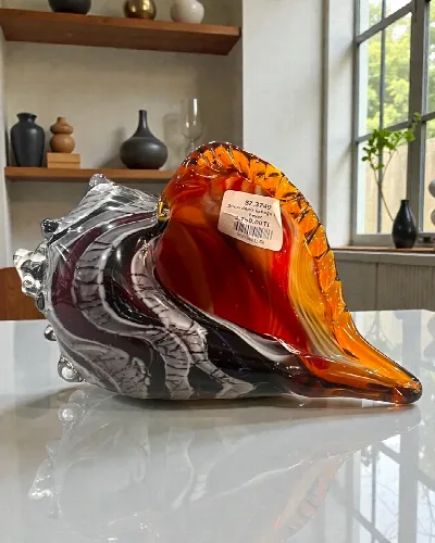 30cm deniz kabuğu siyah beyaz